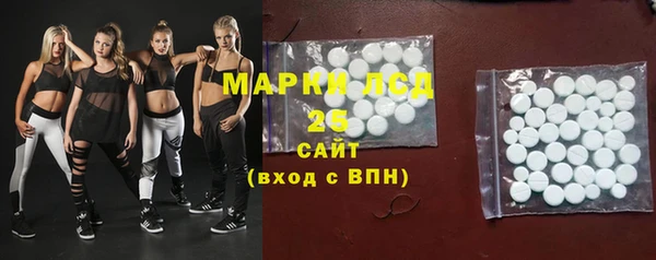 молекула духа Кулебаки