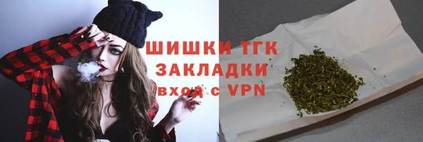 молекула духа Кулебаки