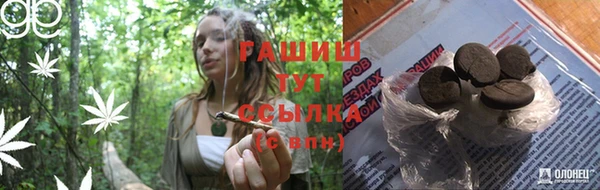 молекула духа Кулебаки