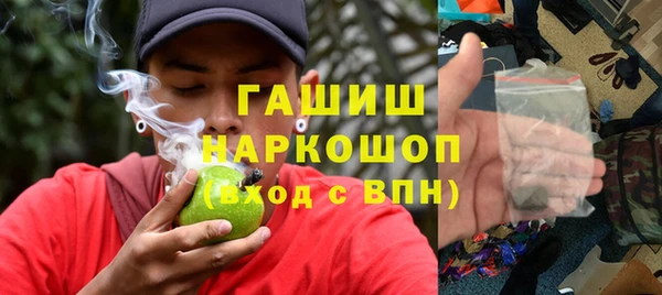 молекула духа Кулебаки