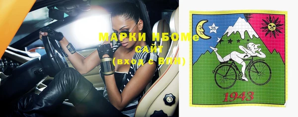 молекула духа Кулебаки