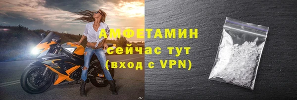 молекула духа Кулебаки