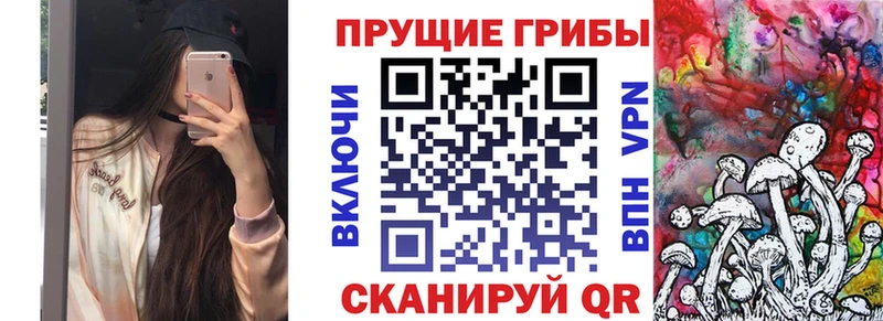 Купить закладки  Вологда  Псилоцибиновые грибы ЛСД 